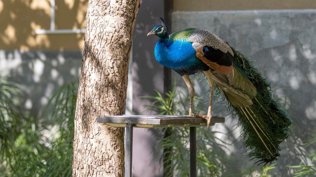 Birds Resort Hambantota Kültér fotó