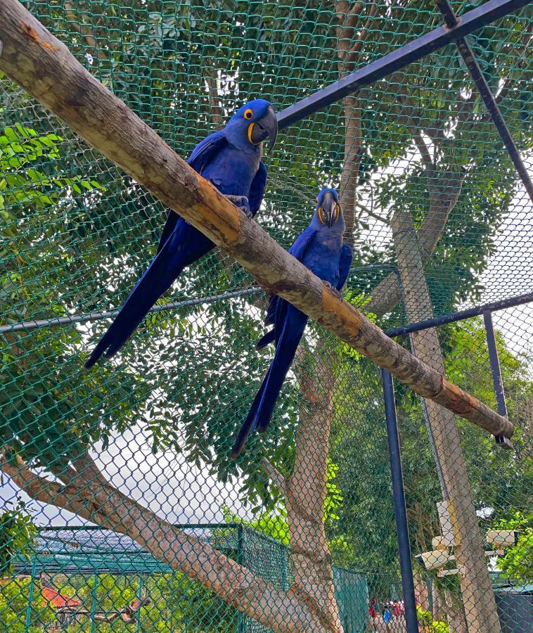 Birds Resort Hambantota Kültér fotó